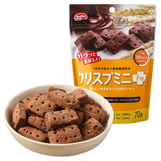 滨田（Hamada）巧克力味饼干 70g/袋 *8件