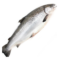 限地区：冰鲜 Gfresh 智利三文鱼整条 6-7kg 1条 + 鲜活花蛤 500g*2