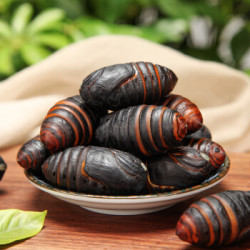 周力天大黑茧蛹新鲜活蚕蛹1kg