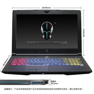 TERRANS FORCE 未来人类 T500 T500-1060-87SH2 15.6英寸游戏本 (IPS、1920×1080、GTX1060 6GB、8GB、512GB 、i7-8750H、15.6英寸)灰色