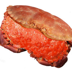 鲜佰客 英国熟冻面包蟹 1.6kg-1.2kg 2只装 袋装 大螃蟹 进口海鲜