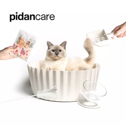 pidancare节假日春节上门喂猫铲屎服务