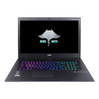 TERRANS FORCE 未来人类 魔鬼鱼 DR7-PLUS 17.3英寸 笔记本电脑 黑色 酷睿i7-8750H 8GB 512GB SSD GTX 1060 6G