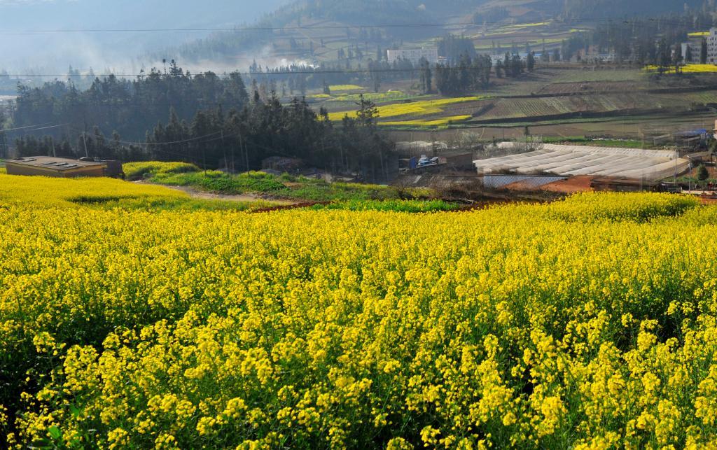 逛吃逛吃 3、4月好吃又好玩的国内目的地