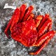西南冷 智利进口熟冻帝王蟹 800-1000g 海鲜年货礼盒 大螃蟹
