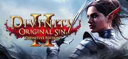 《神界：原罪2》PC数字版游戏