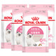 ROYAL CANIN 皇家 K36 宠物猫粮 幼猫粮 0.4kg*4 *2件