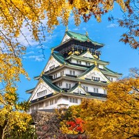 特价机票：春秋航空 重庆-大阪6日往返含税机票 返程行李25KG +可增订签证酒店