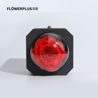 FlowerPlus 花加 红玫瑰永生花礼盒 （首饰盒）