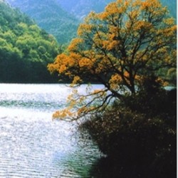 2月探梅好时节!上海-浙江宁波九峰山+慈城2天1晚周边游(宿1晚希尔顿)