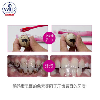 Dr.wild 怀尔德瑞士进口 抛光牙膏75ml+钻石粉牙膏75ml
