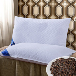 方若 （FANROL ）枕头 全棉荞麦枕芯 成人单人枕 保健枕填充荞麦壳枕头枕芯 单只装 48*74cm