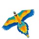 春鸢 鹦鹉风筝 1.6m+500m线 送小风筝