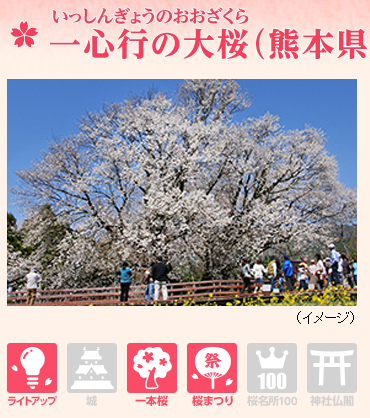 懒人必备 日本冷门地赏樱攻略 人少樱美 住宿推荐 九州篇 什么值得买 懒人必备 日本冷门地赏樱攻略 人少樱美 住宿推荐 九州篇 什么值得买