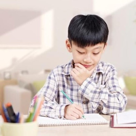 学而思网校 六年级数学 春季 人教培优班