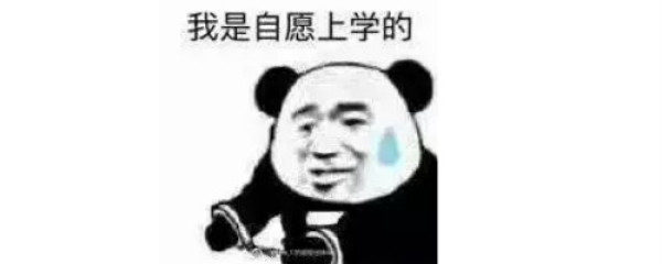 道路千万条,开学第一条