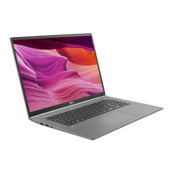 LG gram 17Z990-V.AA75C 17英寸笔记本电脑(i7-8565U、8GB、512GB、2K、雷电3)