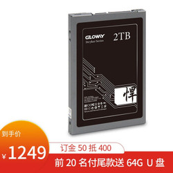 光威（Gloway） 固态硬盘 2TB SATA3台式机笔记本SSD 悍将系列