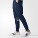 adidas 阿迪达斯  CS JGR TP BR8560  男子针织裤