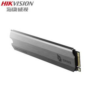 HIKVISION 海康威视 C2000系列 SSD固态硬盘 (M.2接口、256G)