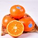 3月1日：褚橙 实建褚柑 优级 礼盒装 6斤