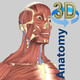 《3D Anatomy》iOS人体猎奇教育类App