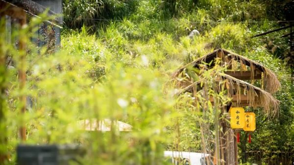 徽式禅意与工业风的碰撞!安徽黄山 魔宿·厢居集装箱野奢民宿1晚套餐