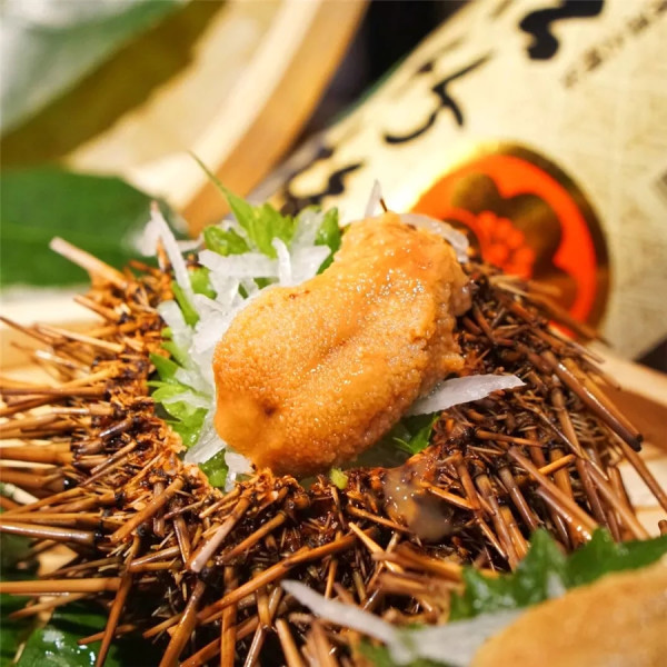 海胆波龙牛排畅吃，酒水畅饮，一周通用不加价！上海漕河泾万丽酒店自助晚餐