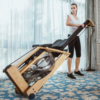 WaterRower 沃特罗伦 A1系列 家用款 单轨梣木水阻划船机 