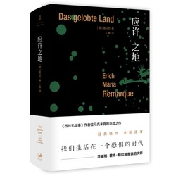 《雷马克作品系列:应许之地》