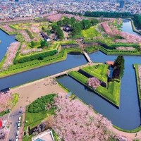 酒店特惠：懒人必备！日本冷门地赏樱攻略，人少樱美，住宿推荐--北海道篇