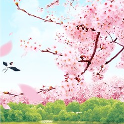 阳春三月，赏花直通！国内踏青线路