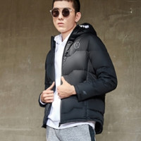 LI-NING 李宁 韦德 AYMN067男款羽绒服
