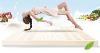 PARATEX纯天然乳胶床垫 泰国原装进口7.5CM榻榻1.5米 1 8米床垫H1