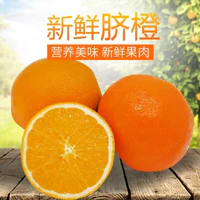 麻城曾氏 金堂脐橙甜橙子 5斤