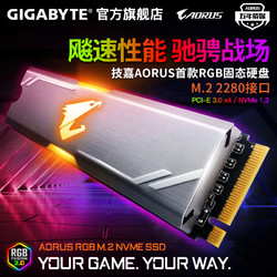 GIGABYTE 技嘉 M.2  固态硬盘 256GB