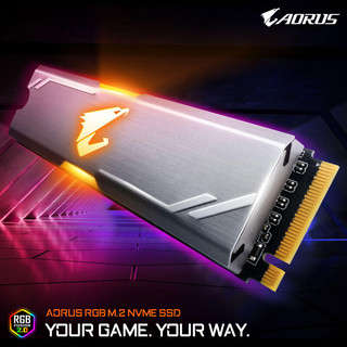 GIGABYTE 技嘉 AORUS RGB M.2 NVMe 256GB 固态硬盘