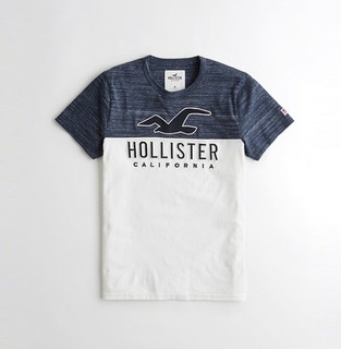 Hollister 212649-1 男士印花T恤