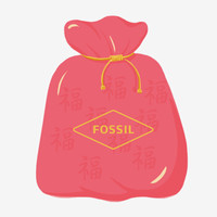 Fossil 福袋 欧美时尚男士手表+男士箱包