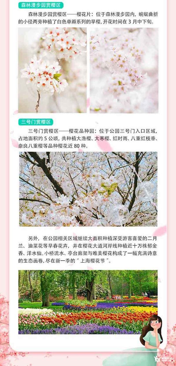 浪漫樱花节，穿越10万㎡侏罗纪公园！上海顾村公园樱花节亲子门票