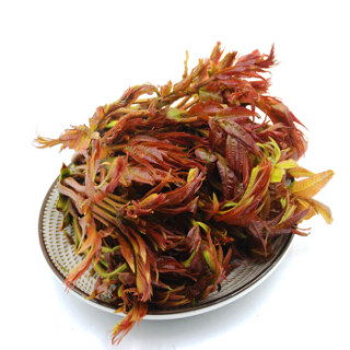 绿鲜知 香椿芽 150g