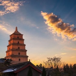 赠接送机+1日8h包车!全国多地-西安4天3晚(市中心酒店连住)