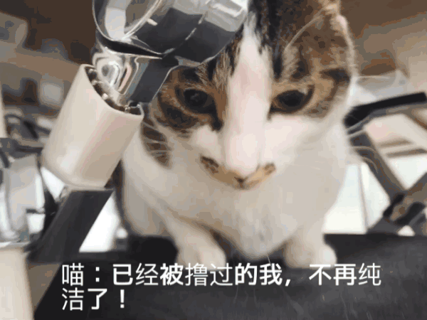 600_450gif 动态图 动图
