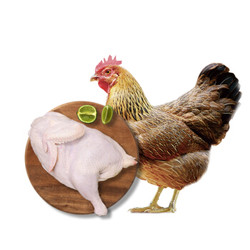 休眠鸡清远鸡450g/袋/半只装 广东清远168天谷饲散养土鸡