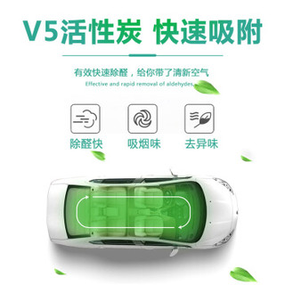 绿之源 2000gV5精英活性炭包 新汽车内除臭去异味装修去除甲醛清除剂碳包除烟味除味剂