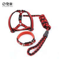 宠幸 狗链项圈三件套 红黑色S码 18斤内使用狗狗链子宠物牵引绳狗绳子泰迪小型犬宠物用品 *2件
