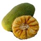 益优果 海南黄肉菠萝蜜 小果1个 约8-10kg