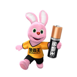 DURACELL 金霸王 5号碱性电池 20粒