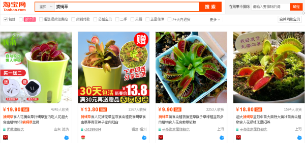 可以吃掉动物的恐怖植物