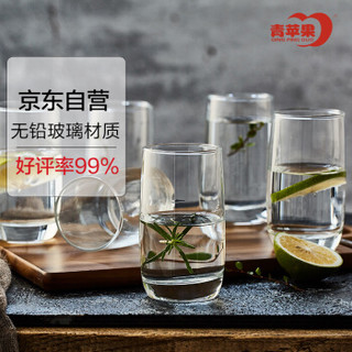 青苹果 玻璃杯水杯茶杯牛奶杯啤酒杯6只套装单层家用ES5303 280ml